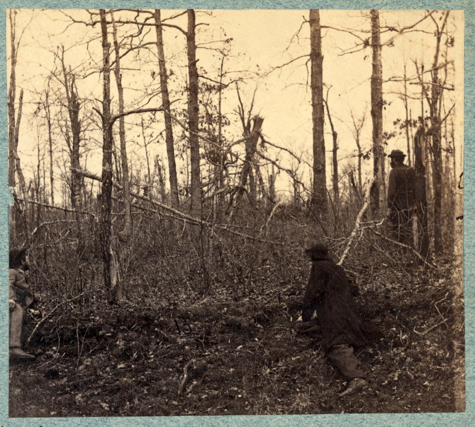 Trees shattered by artillery fire on south side of Plank Road near where Gen. Stonewall Jackson was shot LCCN2009634191