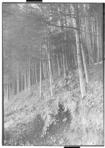 Treffer auf einen Maschinengewehrunterstand des Werkes Gaishorn - CH-BAR - 3240195-bb