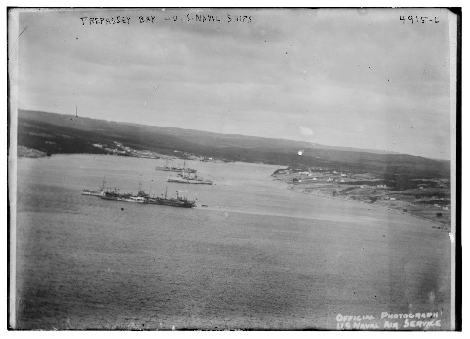 Trepassey Bay - U.S. naval ships LCCN2014708978