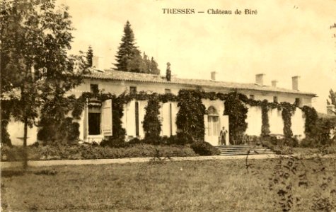 Tresses - château de Biré