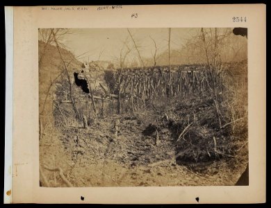 Trestle bridge across Bull Run, on the Orange and Alexandria railroad, as it appeared before the freshet of April 1863 LCCN2006676172