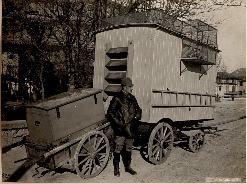 Trient.(Doss di Trento) Taubenwagen. (BildID 15636195)