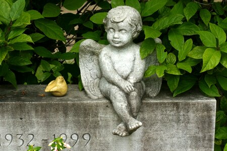 Cemetery harmony sweet