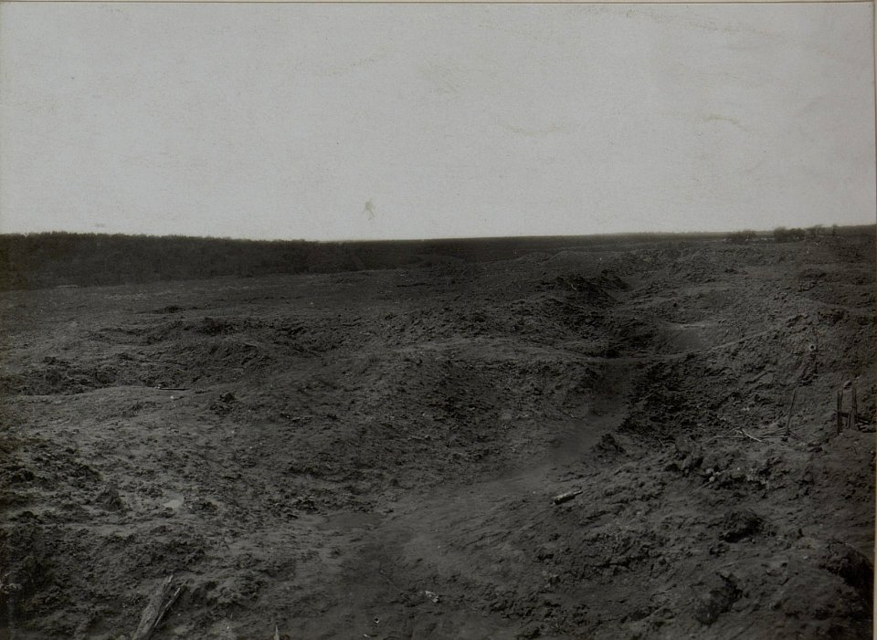 Trichterfeld bei Koniuchy. (BildID 15445473)