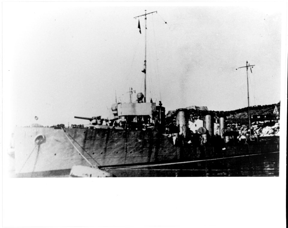 Triglav NH87674