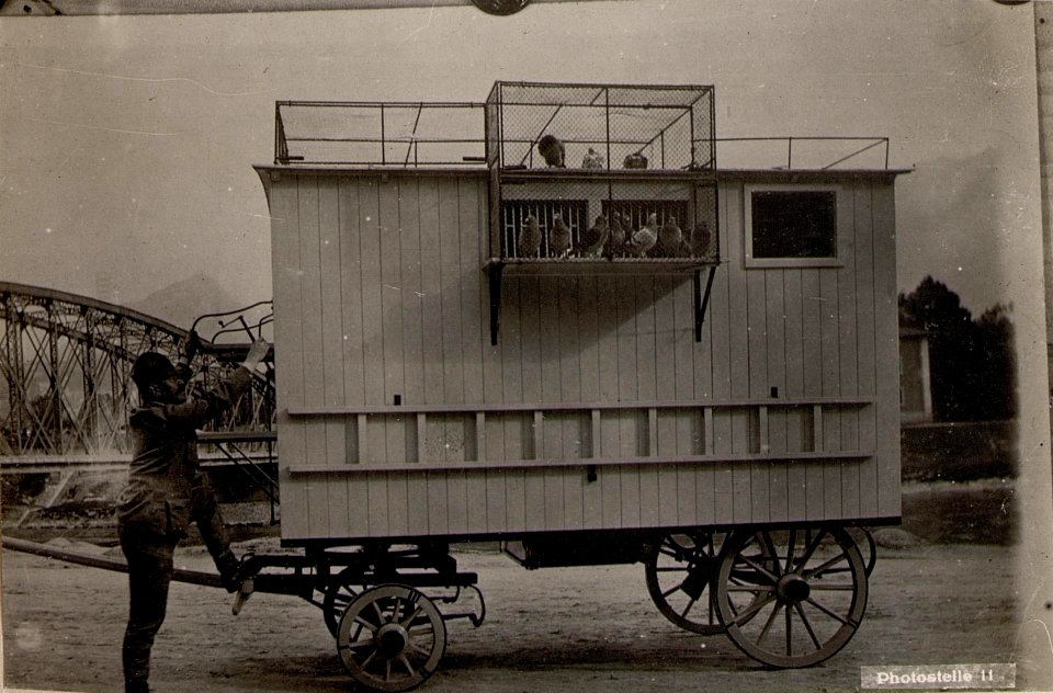Trient. Kriegstaubenwagen. (BildID 15636354)