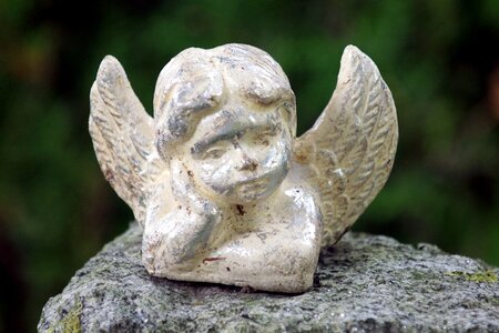 Cemetery harmony sweet
