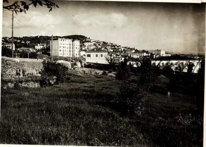 Triest von Greta aus (BildID 15595608)