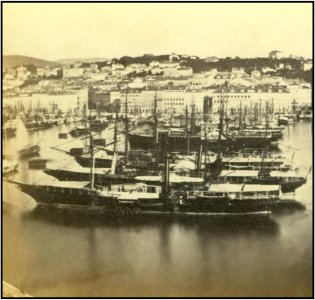 Trieste intorno a 1880.