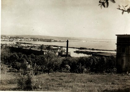 Triest von Greta aus (BildID 15595622)