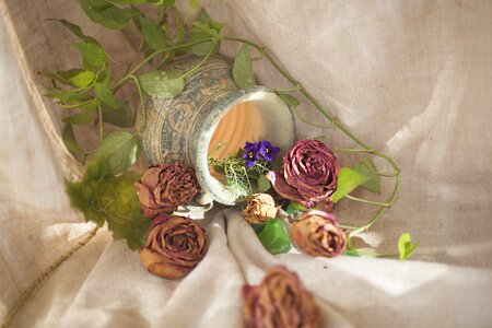 Background celebration rose