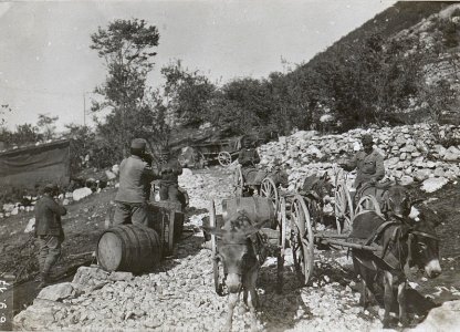 Trinkwasserzufuhr an der Isonzofront.6.9.17. (BildID 15604436)