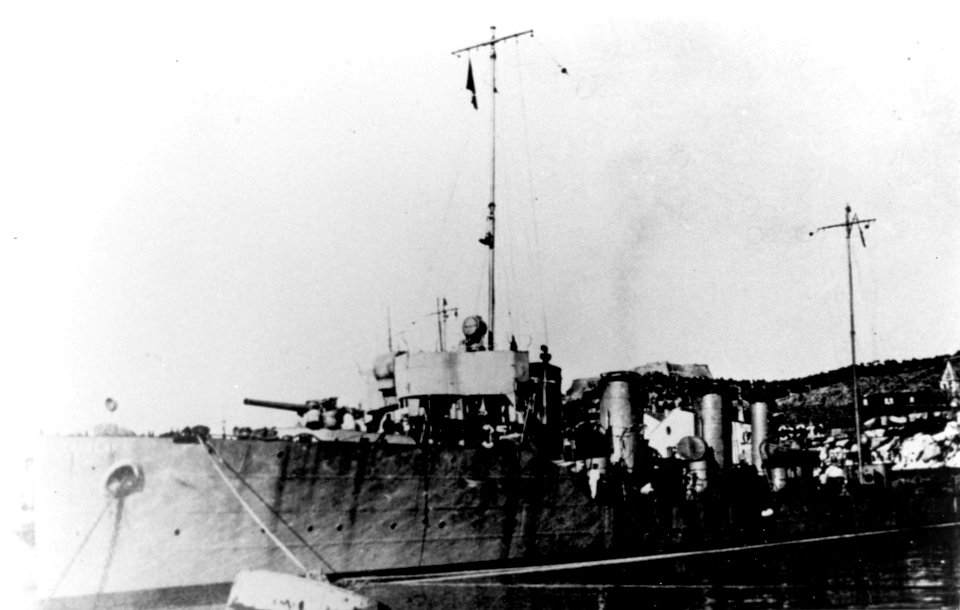 Triglav NH87674