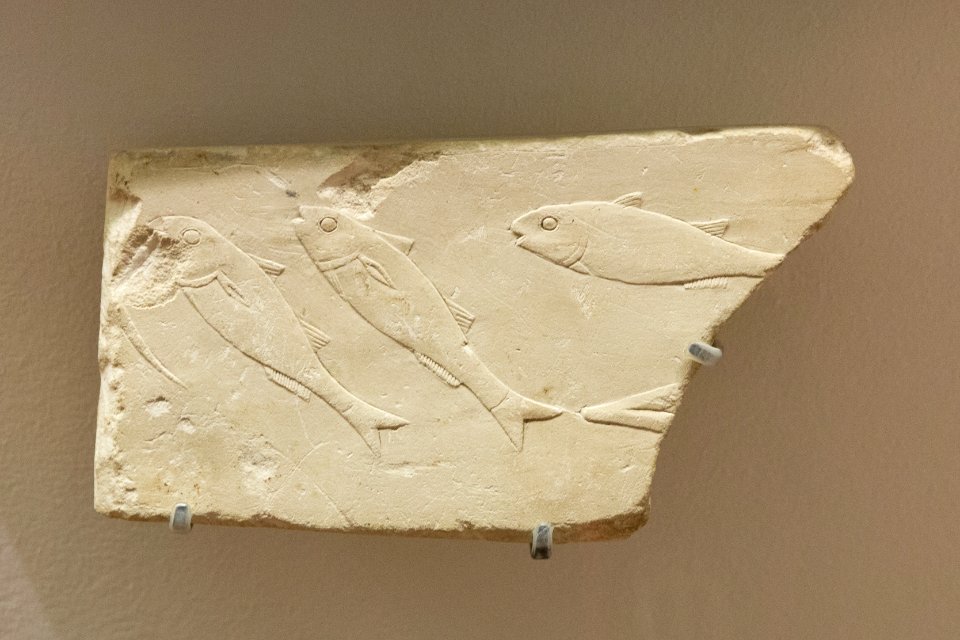 Trois mulets - Louvre - N 1567