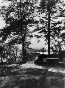 Troldhaugen view of the garden II photo