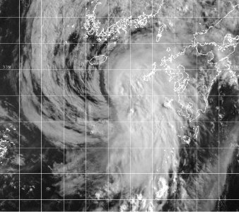 Tropical Depression 08W 1999