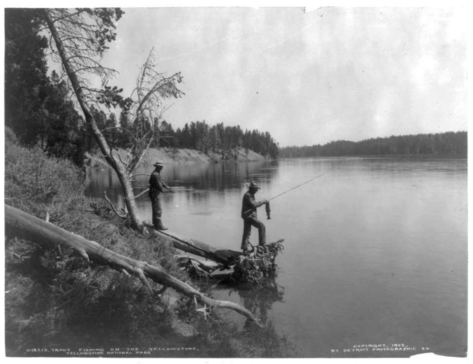 Trout fishing on the Yellowstone, Yellowstone National Park LCCN2016648960