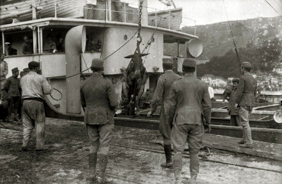 Tropas embarcando en el puerto de Pasaia con destino a la contienda de África (16 de 20) - Fondo Car-Kutxa Fototeka