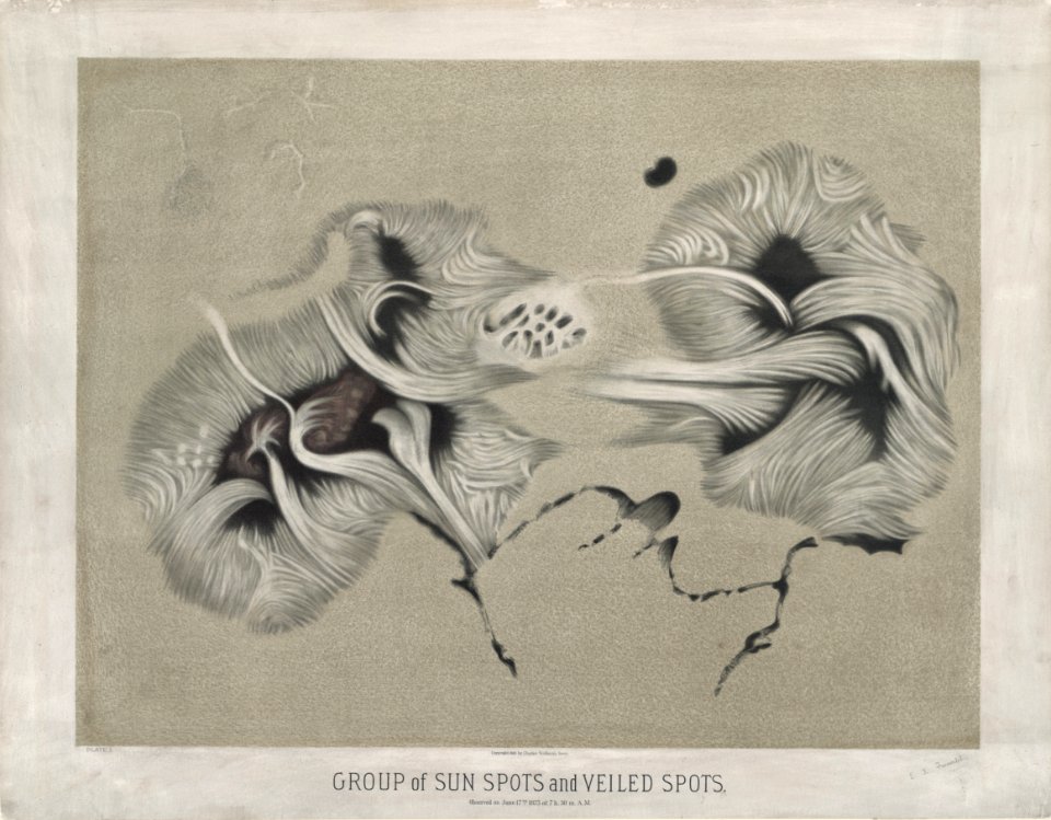 Trouvelot - Group of sun spots - 1875