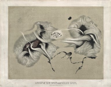 Trouvelot - Group of sun spots - 1875