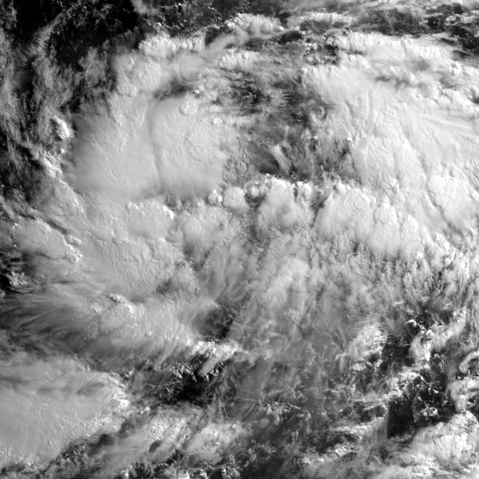 Tropical Depression Falcon Satellite Image 2011-06-21