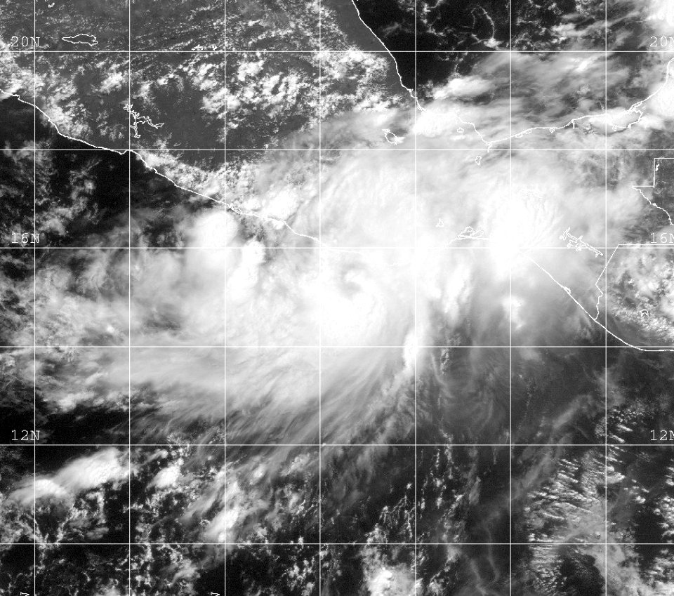 Tropical Storm Carlos (2003)