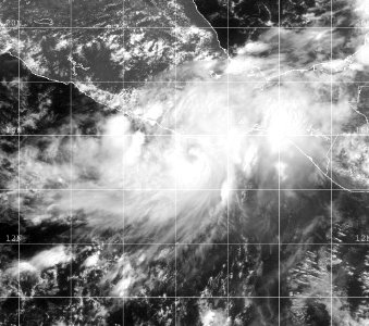 Tropical Storm Carlos (2003)