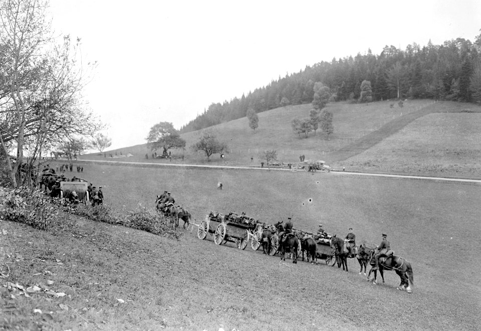 Trosswagen der Haubitzenbatterie - CH-BAR - 3239109