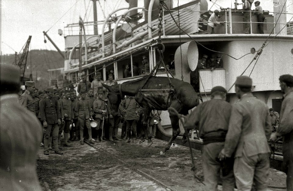 Tropas embarcando en el puerto de Pasaia con destino a la contienda de África (18 de 20) - Fondo Car-Kutxa Fototeka