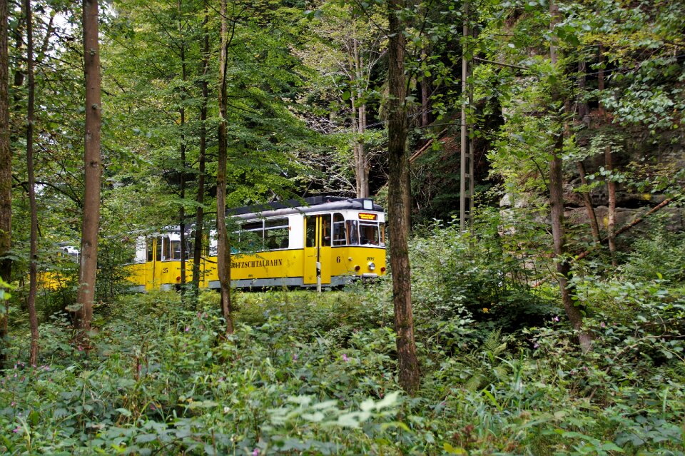 Tourist attraction tourism sightseers