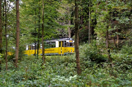 Tourist attraction tourism sightseers