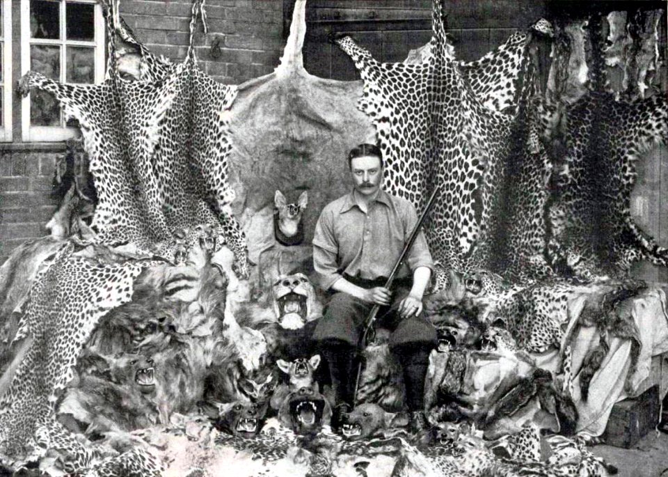 Trophée de chasse au Somaliland, en 1899