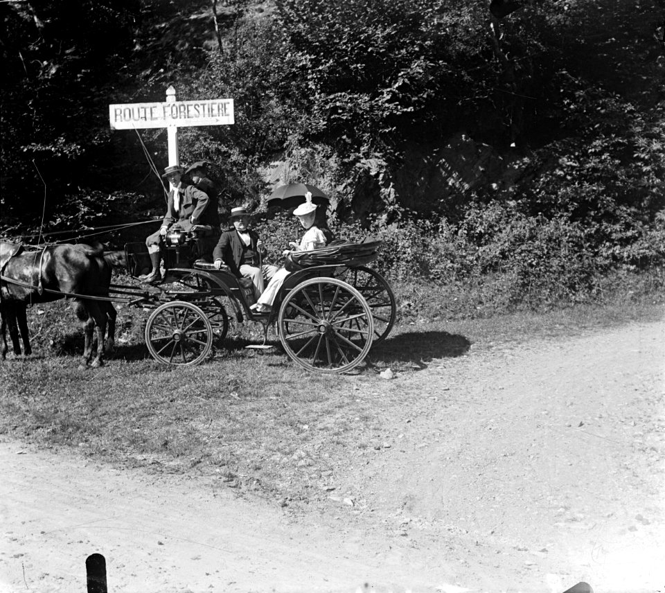 Trutat, Eugene - Bibliotheque de Toulouse - Entree de la route forestiere de Superbagneres (pd)