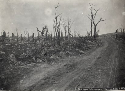 Trümmerstätte von Selo 8.11.17. (BildID 15609629)