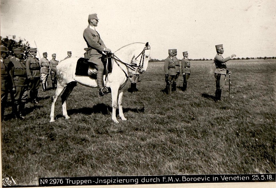 Truppen-Inspizierung durch F.M.v.Boroevic in Venetien 25.5.18. (BildID 15618468)