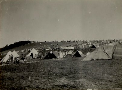 Truppenlager des kaiserlich ottomanischen XV.Korps bei Dunajow, aufgenommen am 15. August 1916 (BildID 15542681)