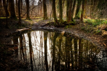 Waters reflection mirroring photo