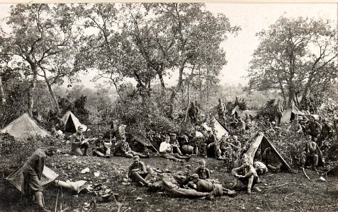 Truppenlager eines Infr.Regt.bei Temnica.27.8.17. (BildID 15599226)