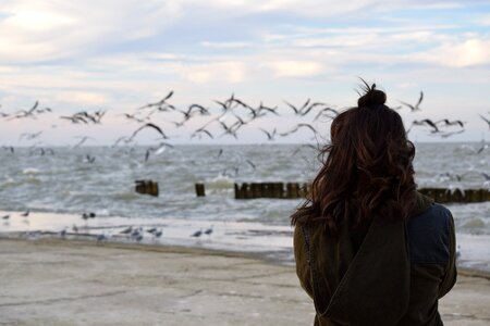 Beach nature sea photo