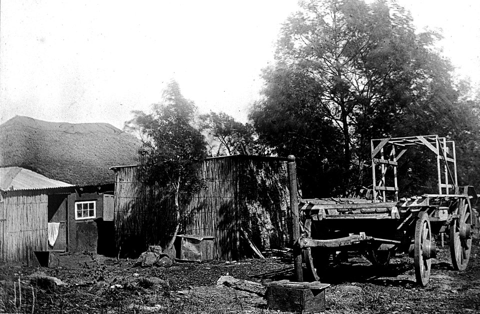 Trypanosomiasis, the back of our hut (Ubombo); RAMC 1242 Wellcome L0021203