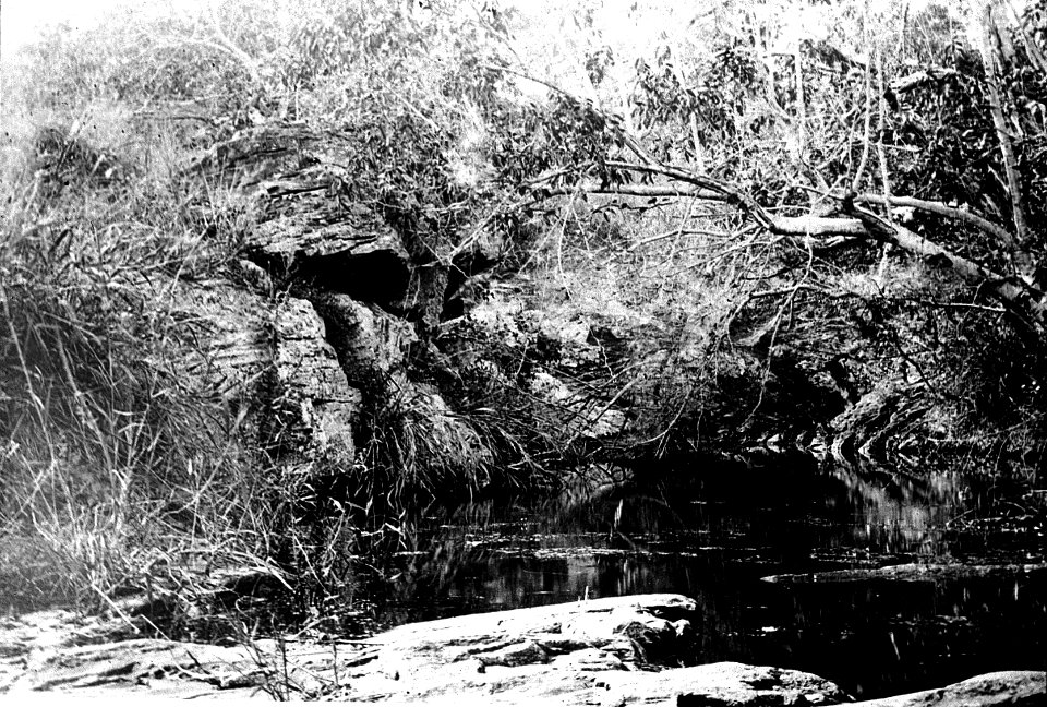 Trypanosomiasis, pool at bottom of Ubombo; RAMC 1242 Wellcome L0021207