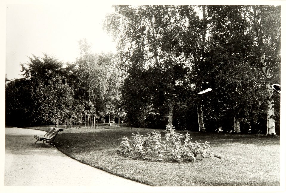 Trädgård i Ljusne - Hallwylska museet - 108045