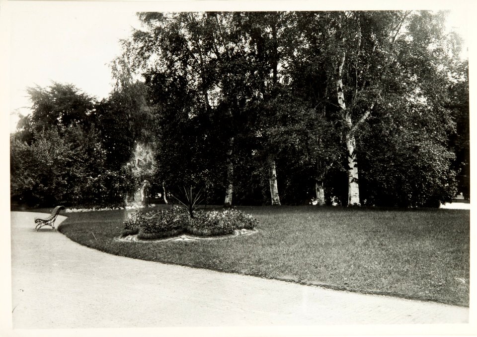 Trädgård i Ljusne - Hallwylska museet - 108044