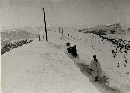 Träger am Wege ins Campoluzotal. (BildID 15625504)