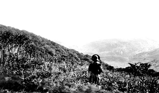 Trypanosomiasis, view from top of Ubombo; RAMC 1242 Wellcome L0021205
