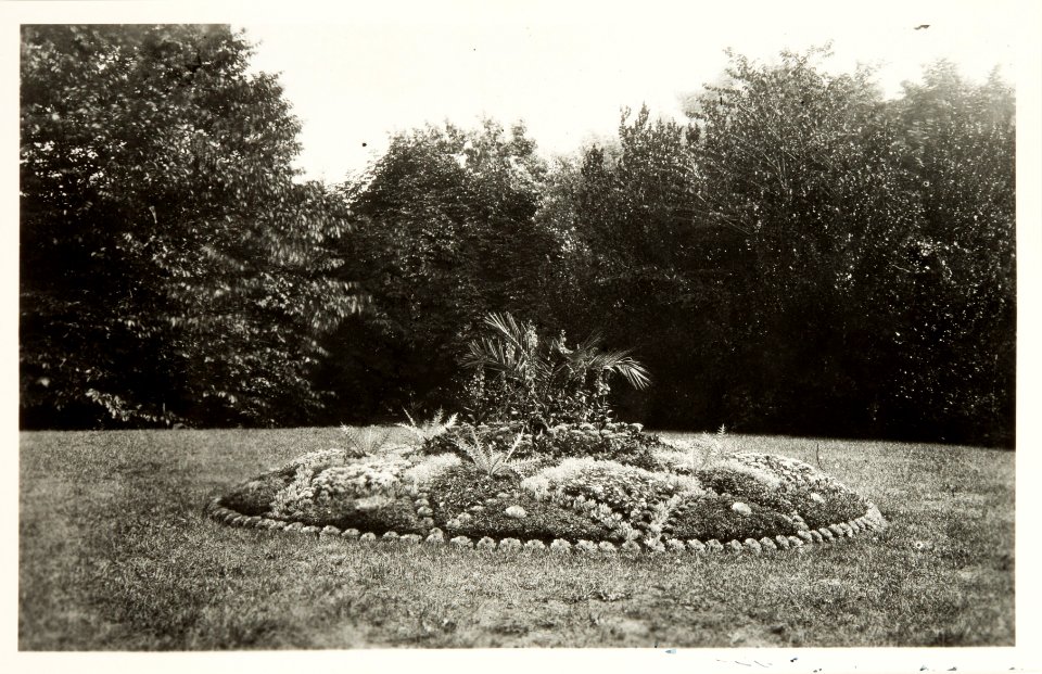 Trädgård i Ljusne - Hallwylska museet - 108959