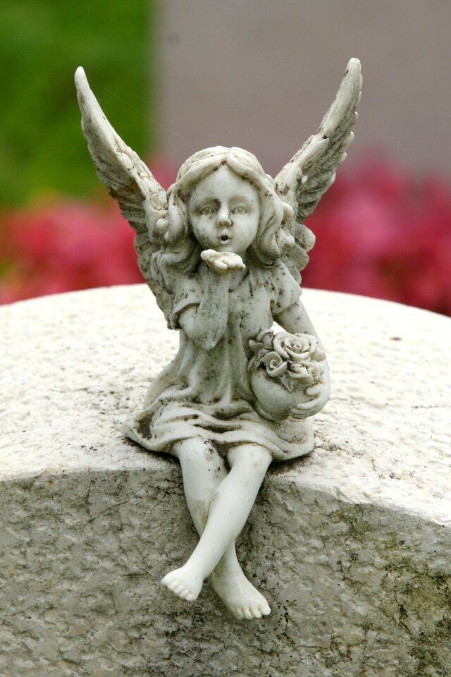 Cemetery harmony sweet