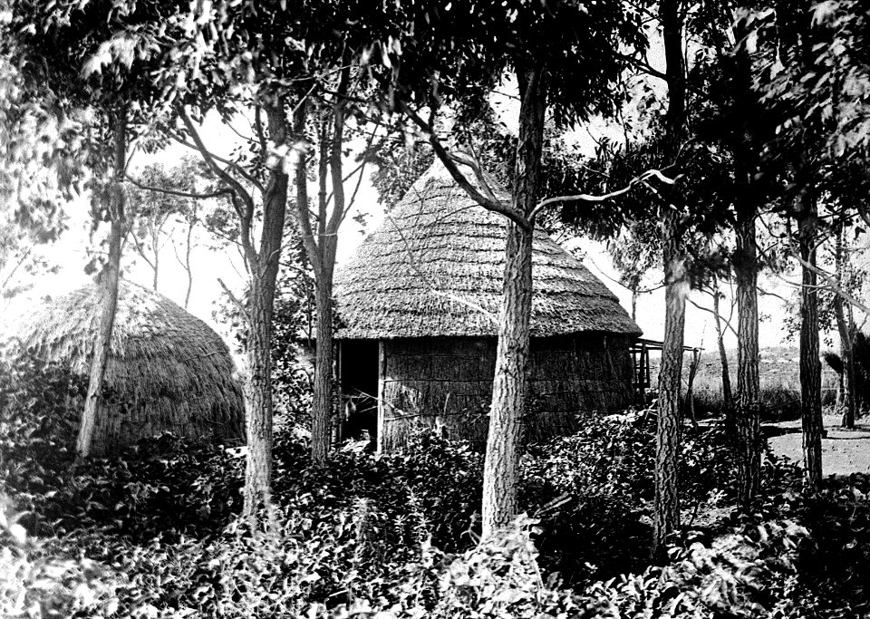 Trypanosomiasis, Mr. Lyle's hut; RAMC 1242 Wellcome L0021206