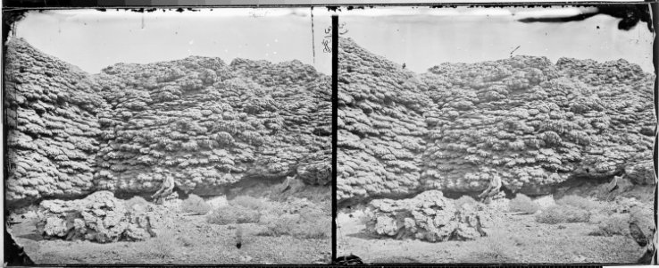 Tufa Formation, Anaho Island, Pyramid Lake, Nevada - NARA - 519580