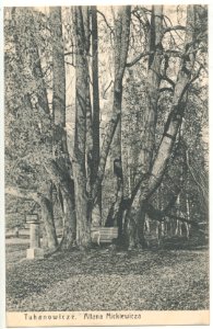 Tuhanavičy, Vieraščaka, Altanka Maryli. Туганавічы, Верашчака, Альтанка Марылі (1901-14, 1920)